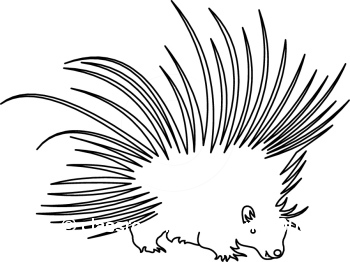 Porcupine Clipart 