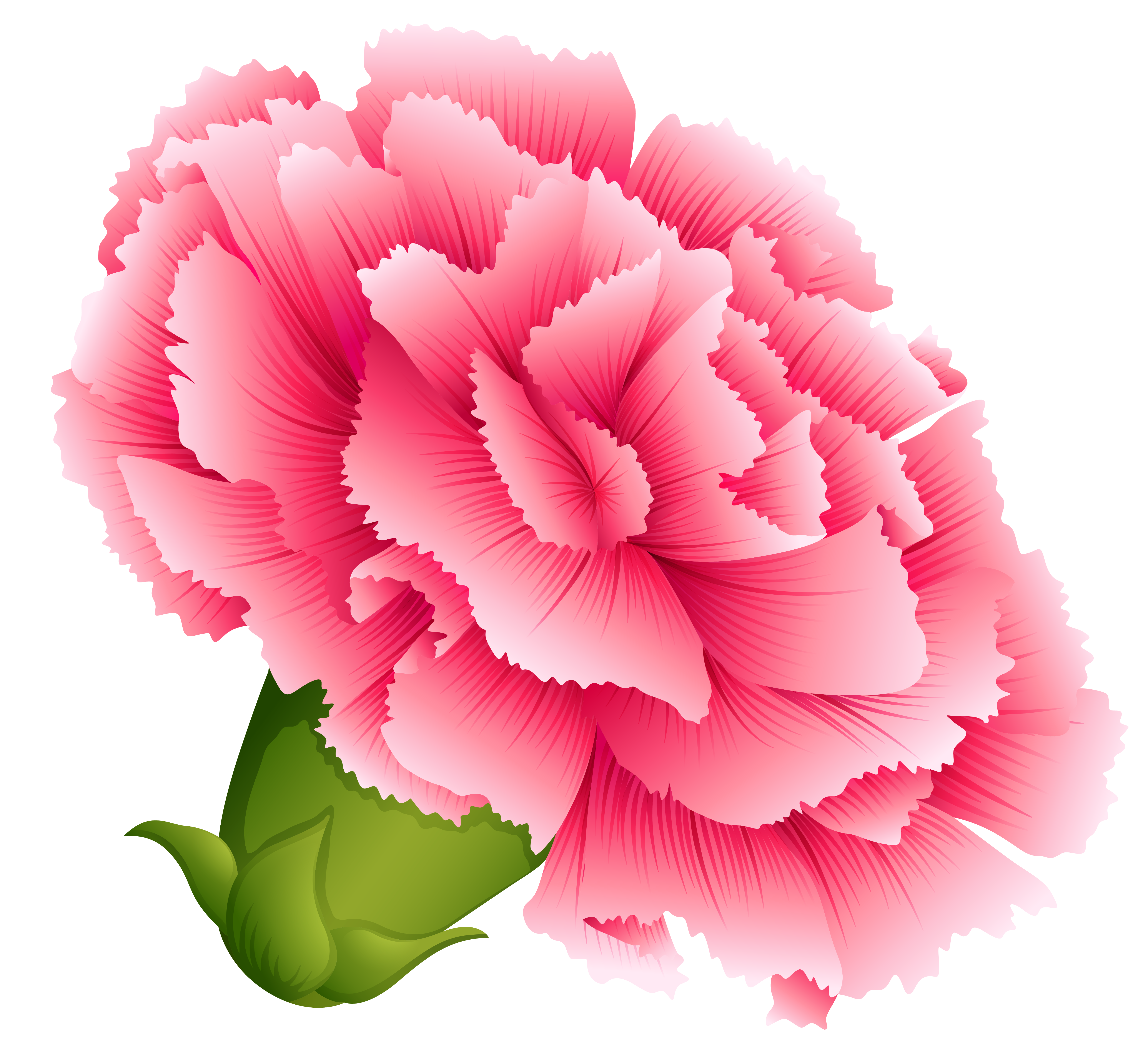 Blue Carnations Clipart