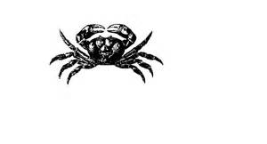 Crab Illustration - Vintage Seafood & Marine Life Art