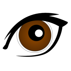 Eyeball brown eyes clipart free clipart image image