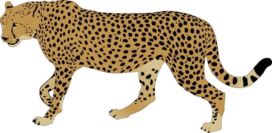 Free Cheetah Clipart 