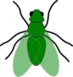 Green Fly Clipart