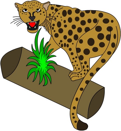Leopard Clipart : 6