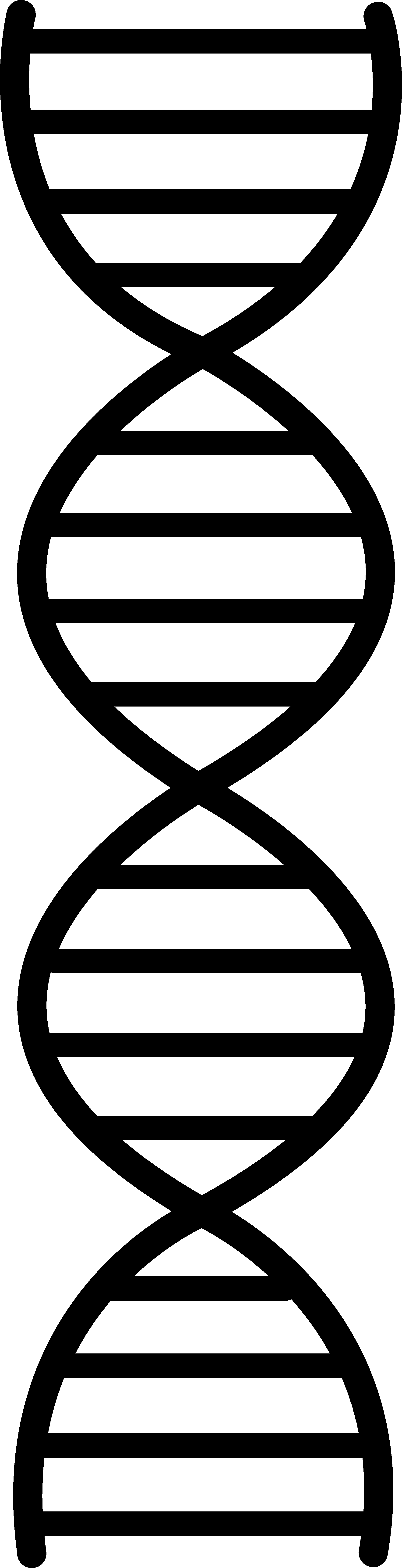 Dna Symbol Clipart 
