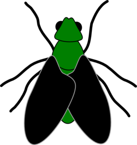 Green Insect Logo - Modern Vector Design for Branding