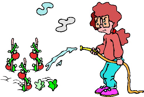 A cartoon woman with red curly hair and glasses waters tomato plants with a yellow hose in a sunny garden.