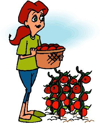 A cartoon woman with red hair holds a basket of ripe tomatoes beside a flourishing tomato plant.