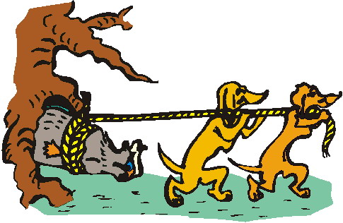 Two yellow dogs pull a rope tied to a raccoon stuck in a tree trunk, cartoon illustration.