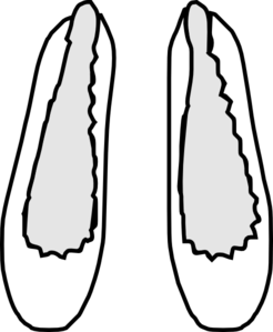 Pair of white ballet slippers with gray insoles and jagged inner edges, stylized line art on black background.