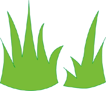 Simple green grass illustration with two clumps of stylized blades on white background.