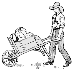 Farmer with Wheelbarrow Full of Pumpkins - Rural Harvest Scene