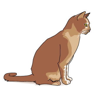 CLIPART RED CAT