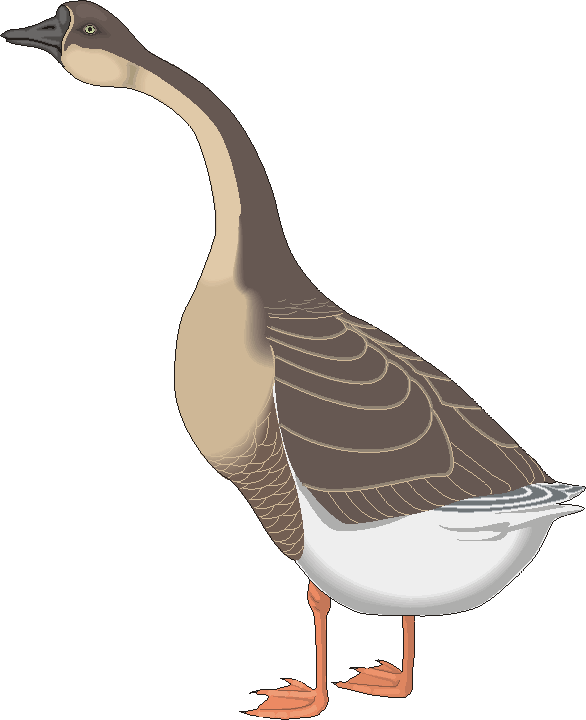 Free Goose Cliparts, Download Free Goose Cliparts png images, Free ...