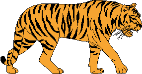 tiger picture for coloring - Clip Art Library