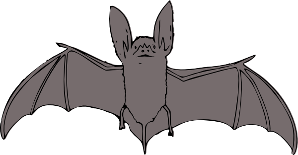 Illustration of a Flying Bat - Educational & Clipart Resource