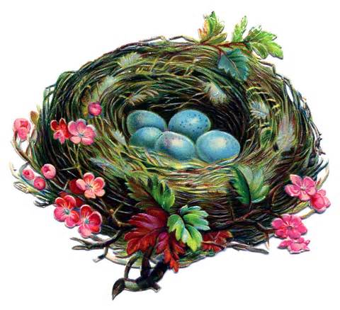 Egg In Nest Clipart