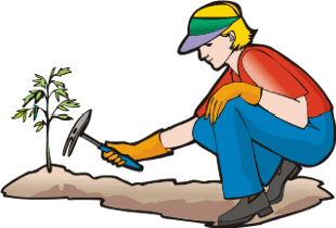 A person in a cap and gloves kneels while planting a young sapling with a hand trowel in soil.