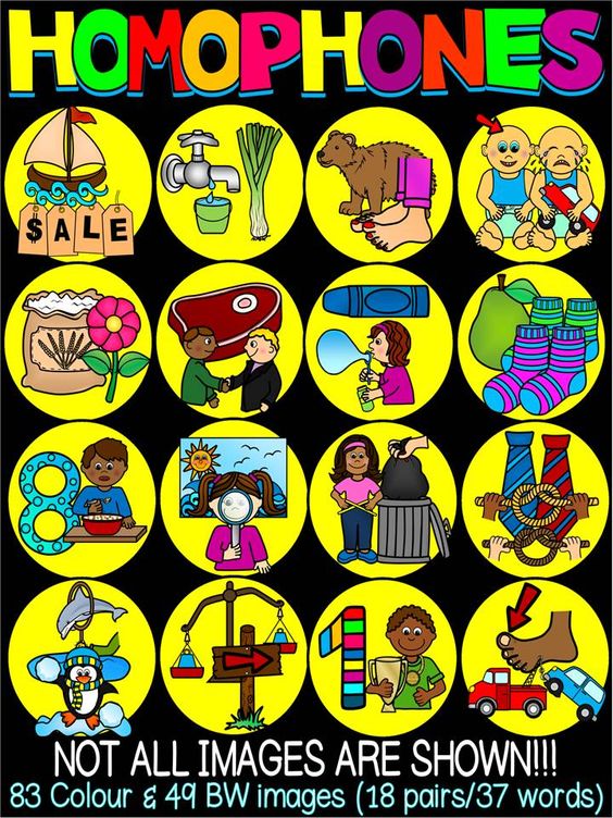 Colorful educational poster illustrating homophone word pairs with cartoon images like "sale" vs. "sail", "flower" vs. "flour", and "pair" vs. "pear".