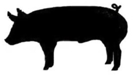 Junior Livestock Show Clipart 