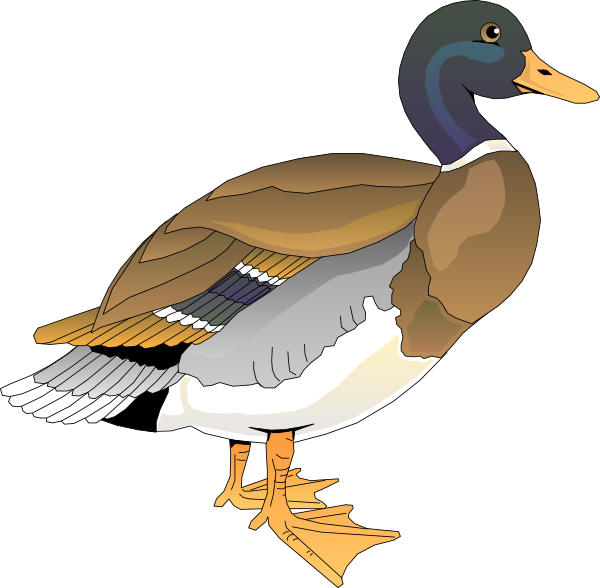 Walking Duck 2 Clip Art 