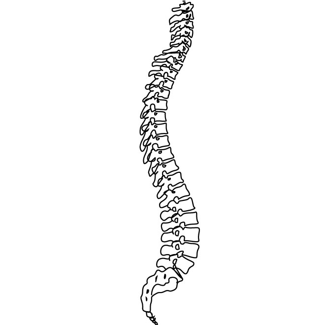 spine free clipart