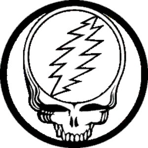 The Grateful Dead Steal Your Face Purple Yellow Button B 