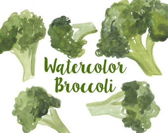 broccoli clipart ??“ Etsy 