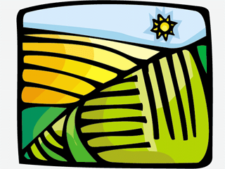 Vibrant Agricultural Landscape Illustration - Farm Fields & Sun