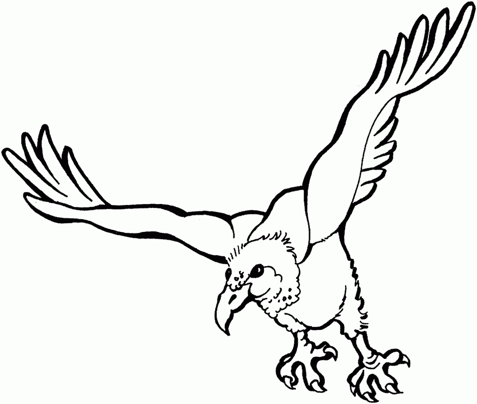 vulture black and white clipart