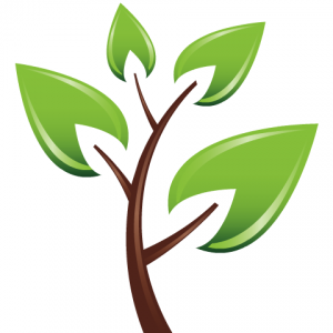 Stylized green leafy sapling with brown trunk, symbolizing growth, nature, and sustainability.