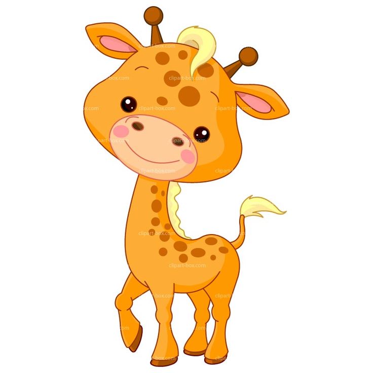 Cute cartoon giraffe with big eyes, smiling face, and brown spots on orange body, standing against white background.