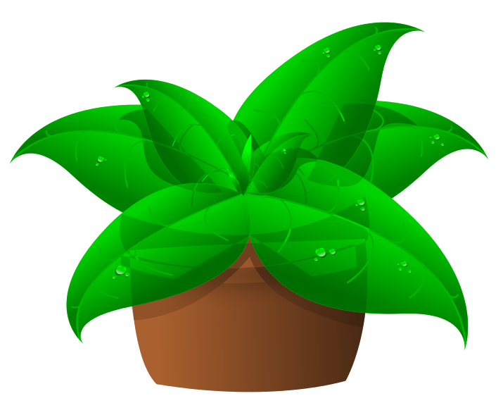 Green Plant Clipart