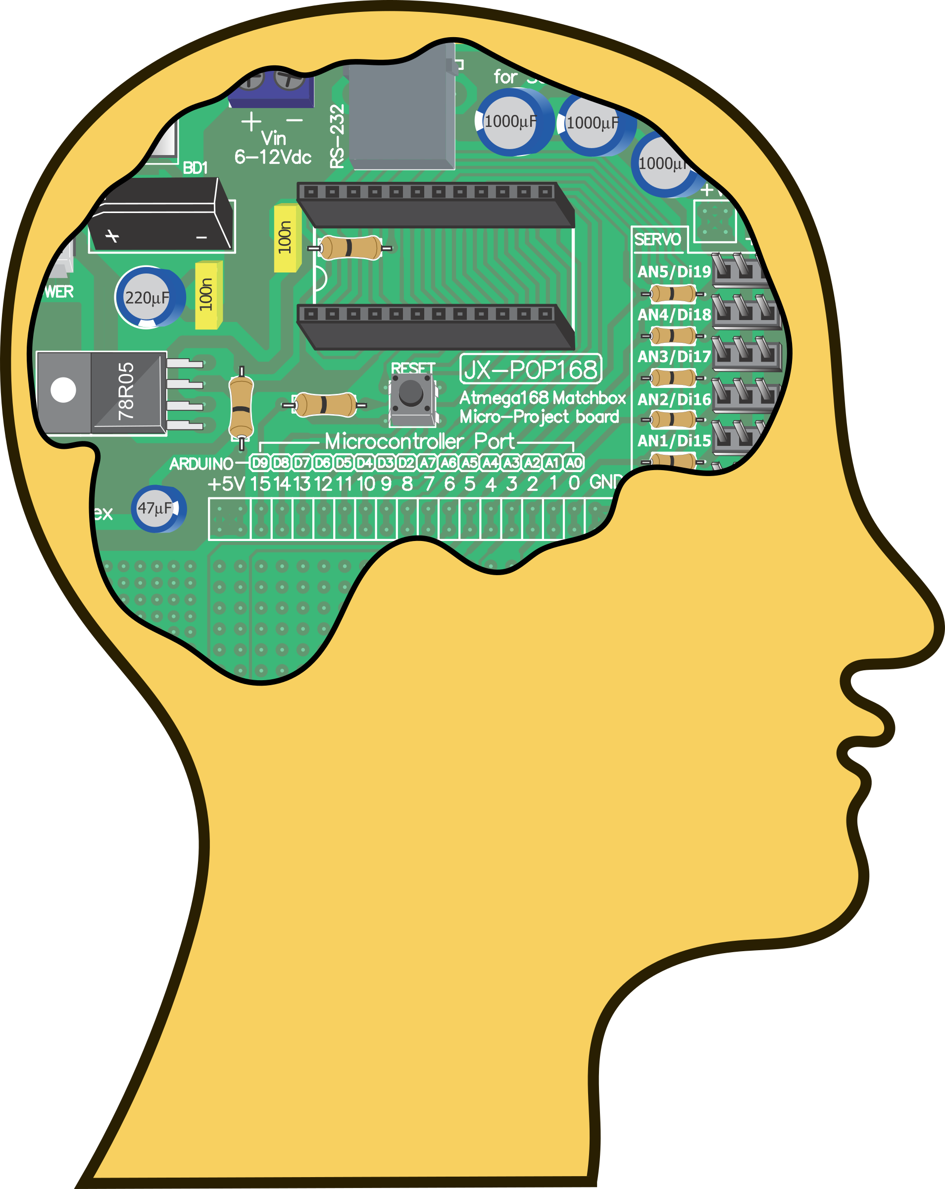 Мозг компьютера. Мозг процессор. Программирование мозга. Электронный мозг.