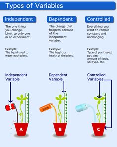 Dependent Variable Clipart 