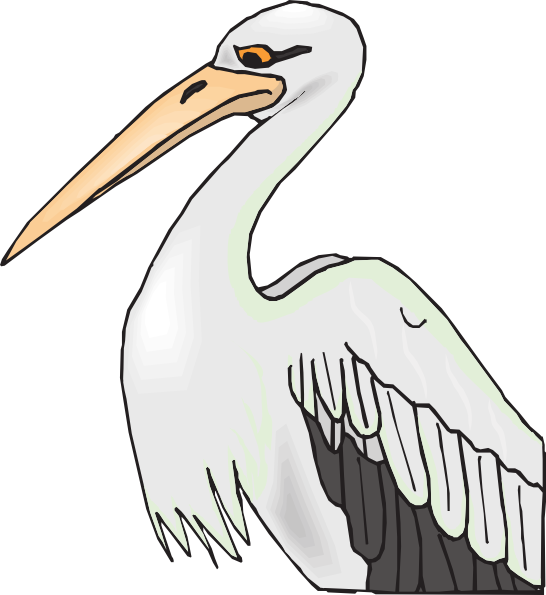 Pelican With Sharp Beak Clip Art 