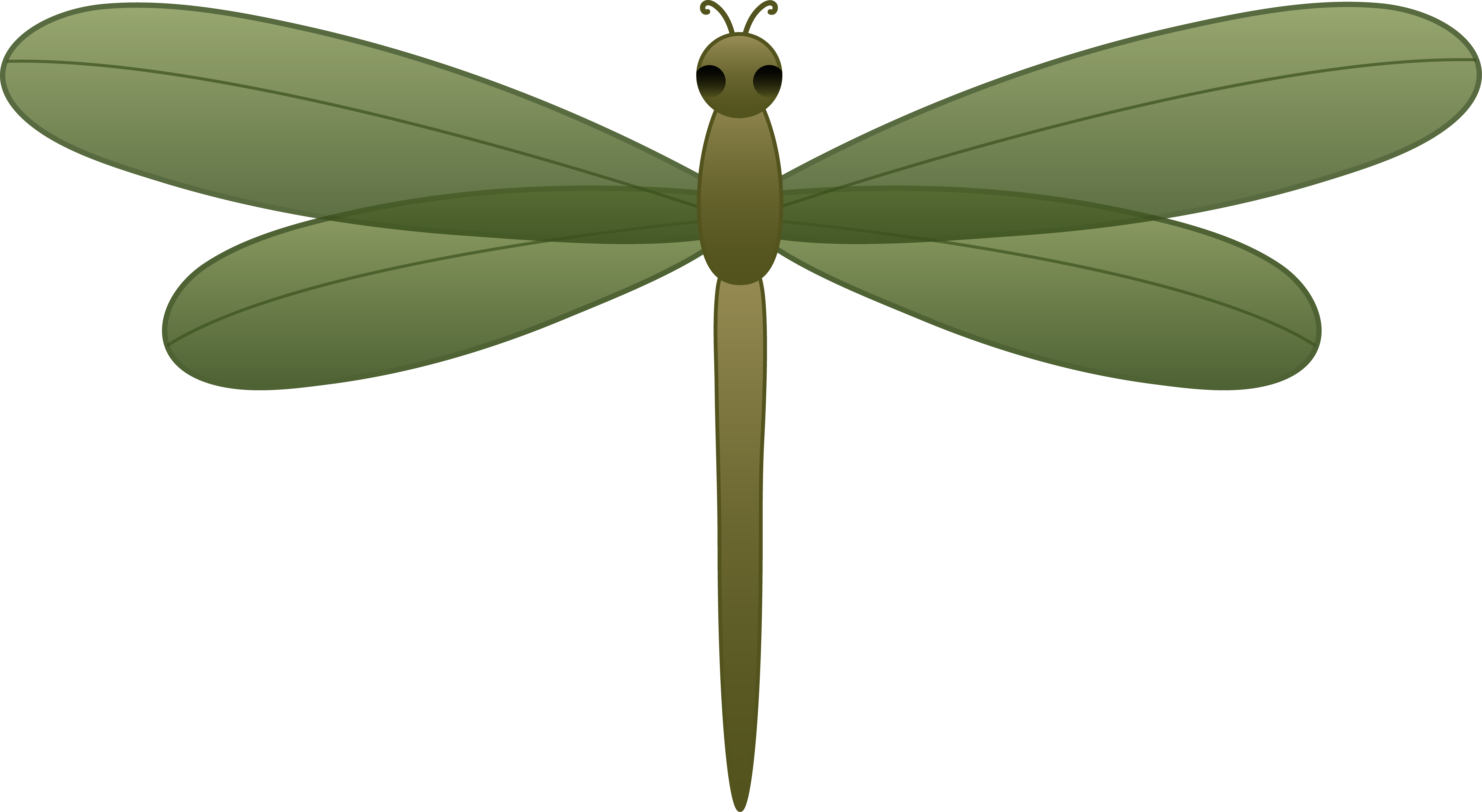 Green Darner Dragonfly Cartoon - Clip Art Library