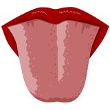 tongue taste buds clipart - Clip Art Library