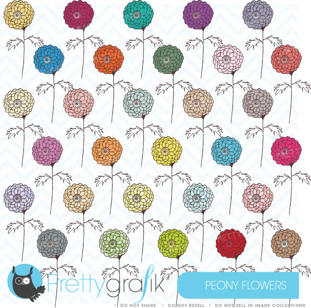 Colorful hand-drawn peony flowers in a repeating pattern on light blue chevron background.