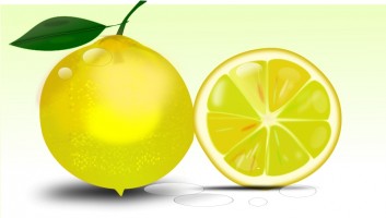 Fresh Lemon Illustration - Vibrant Whole and Sliced Citrus for Recipes & Design