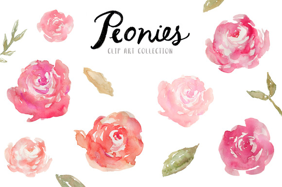 Watercolor peony flowers in soft pink and coral hues with green leaves, part of a clip art collection.