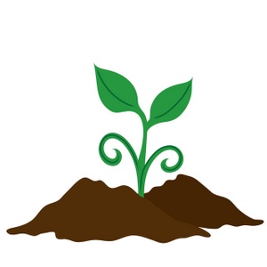 A green seedling with two leaves emerging from brown soil, symbolizing growth and sustainability.