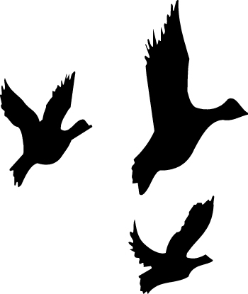 Flying Bird Silhouettes - Vector Illustration for Nature and Wildlife Design
