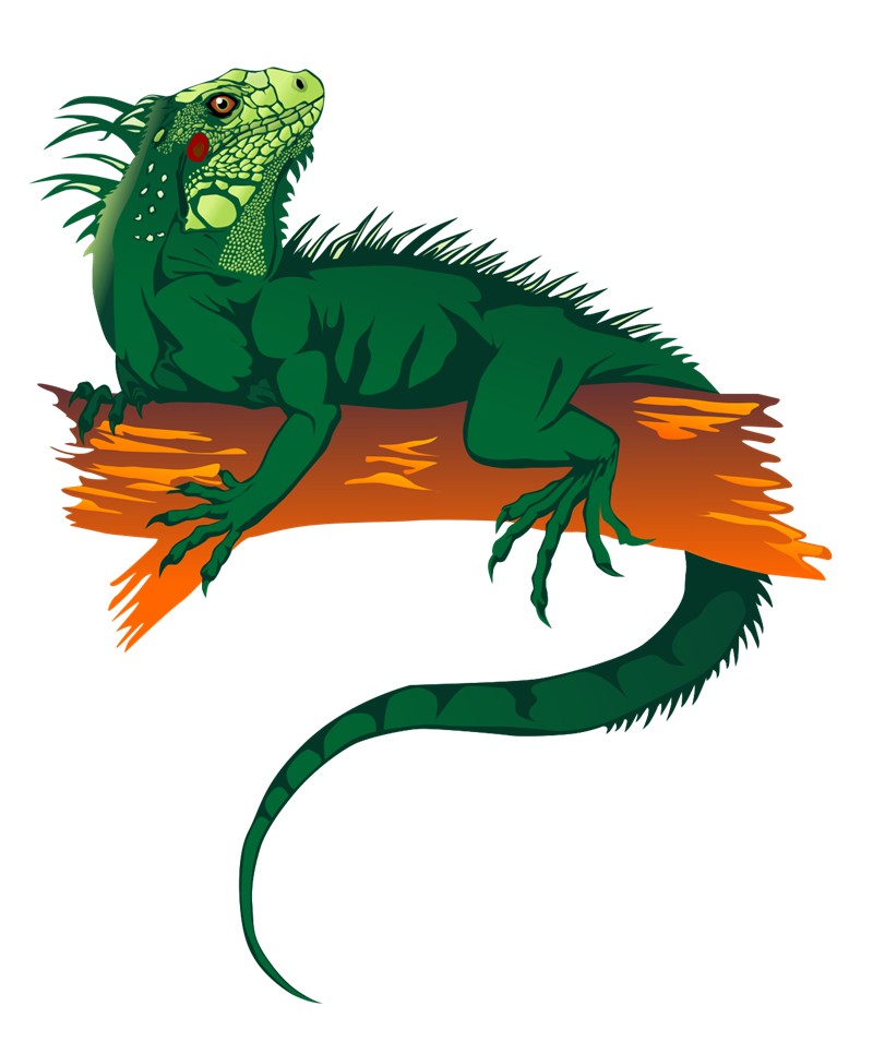 Green Iguana Illustration - Realistic Digital Art for Reptile Enthusiasts
