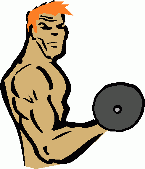 Bicep Curl Exercise Guide - Proper Form & Muscle Engagement
