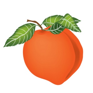 Fresh Peach Illustration - High-Quality Fruit Graphic for Recipes & Design