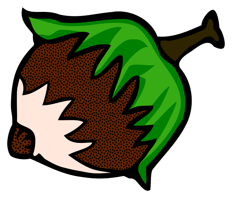 Hazelnut Coloured Clipart Icon PNG 