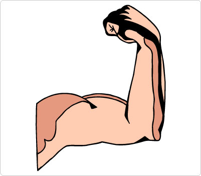 Muscle Arm Clip Art Bicep Clip 