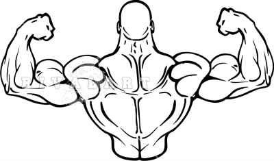 What Muscle Groups Do I Workout Together?  Back workout women, Muscle  groups to workout, Female back muscles