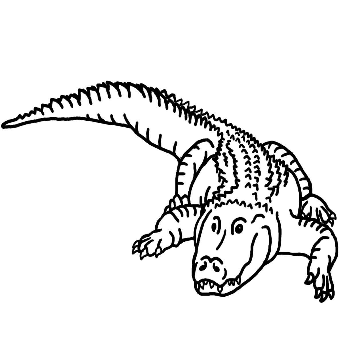 Clip Art Alligator 