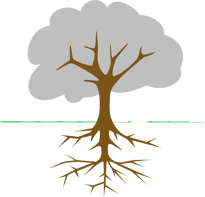 Tree Root System Diagram - Visual Guide to Plant Structure